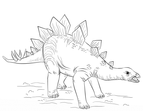 stegosaurus-coloring-page.png